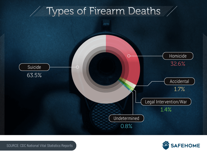 Gun Laws and Deaths