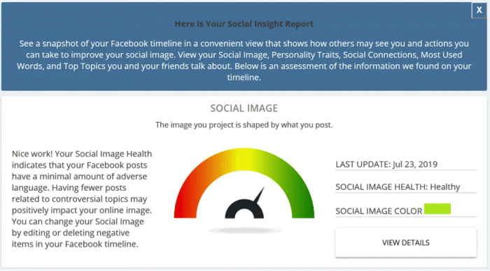 Social Insight Report