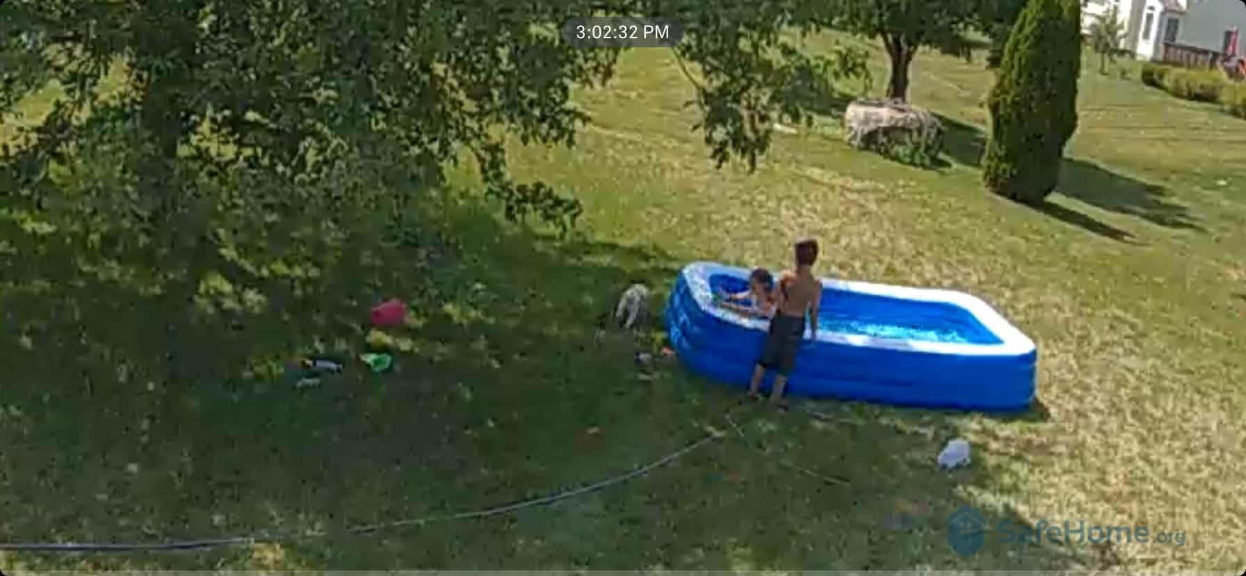 IQ outdoor cam view; watching over the youngins.