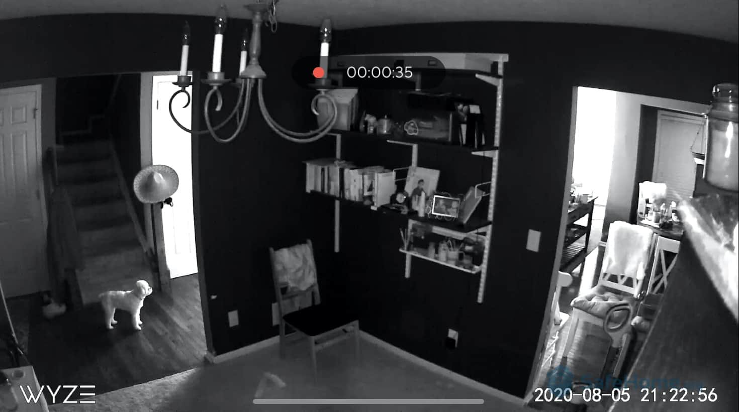 Wyze Home Security Camera Review 2021