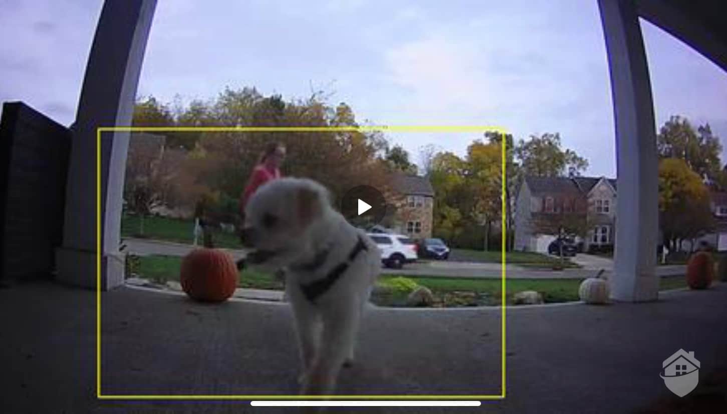 Canary Flex Motion Detection