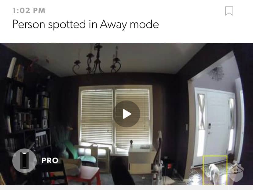 Canary Pro - Person Spotted in Away Mode