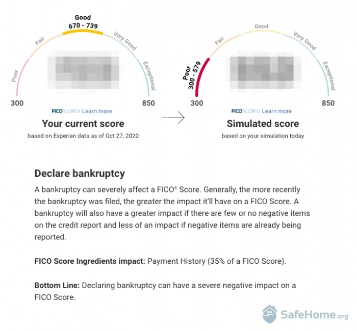 FICO Score Simulator