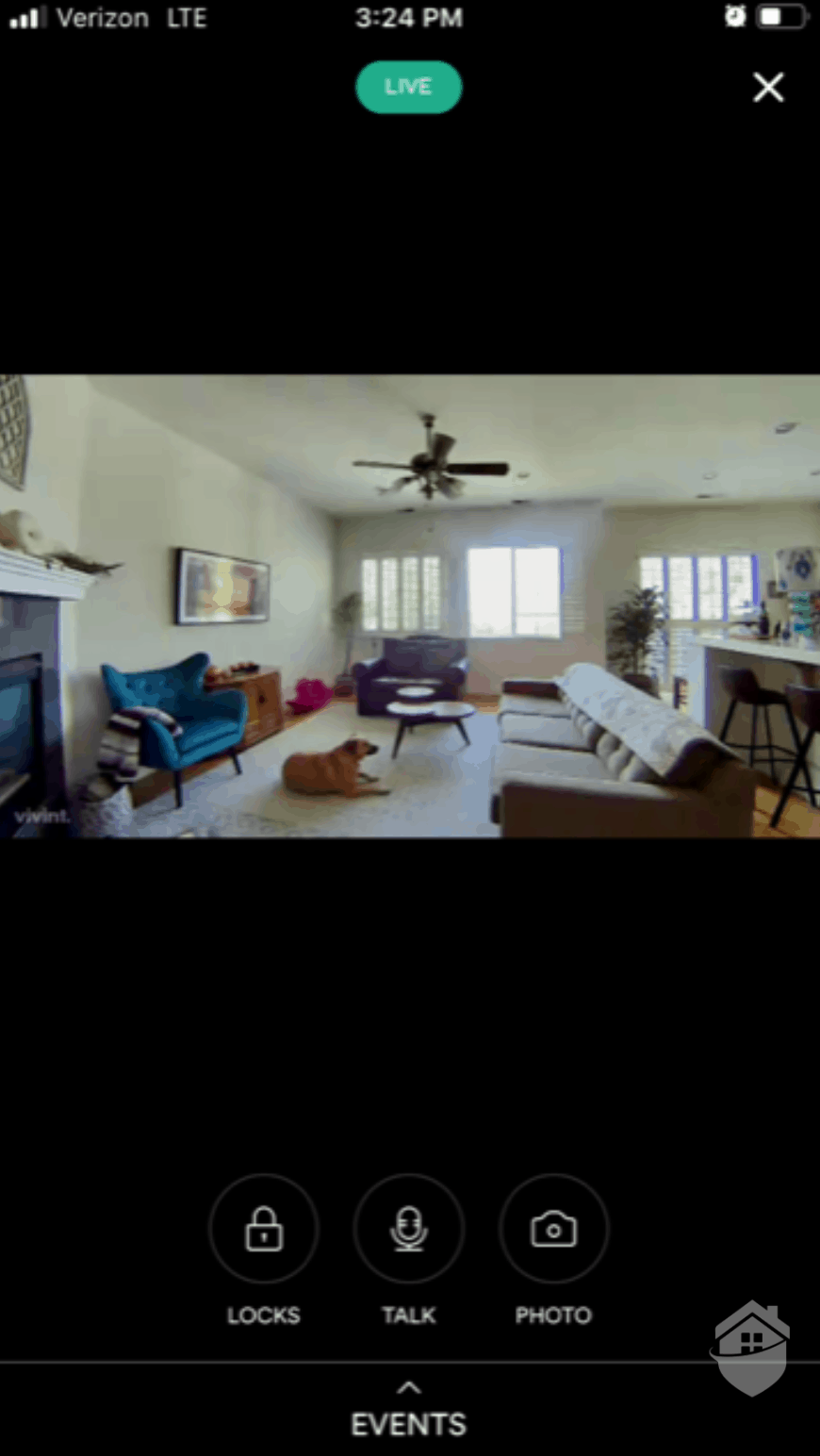 Vivint App Live Video