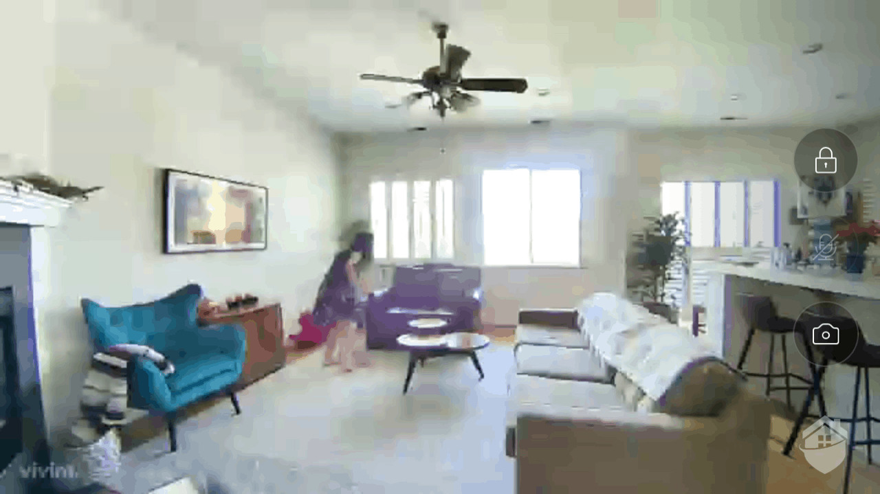 Vivint Ping Indoor Camera Live Video Quality