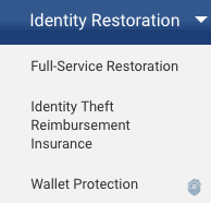 Zander Insurance Identity Restoration