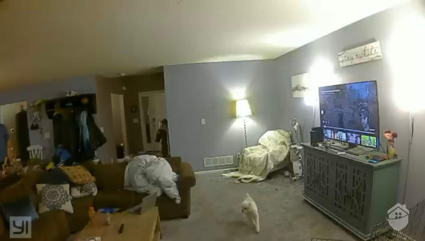 YI Indoor Camera Video Quality