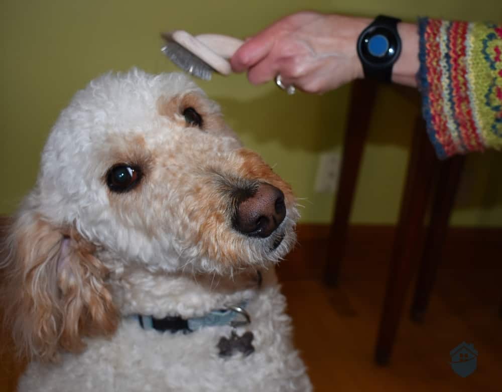 Wearing the Medical Alert Wrist Pendant