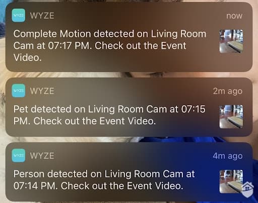 Common Wyze Alerts