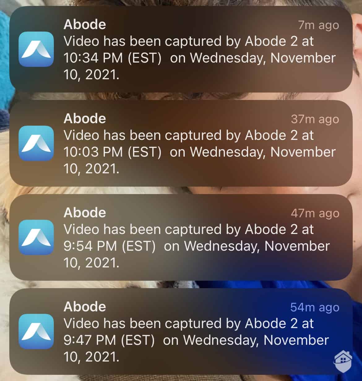 Abode App Notifications