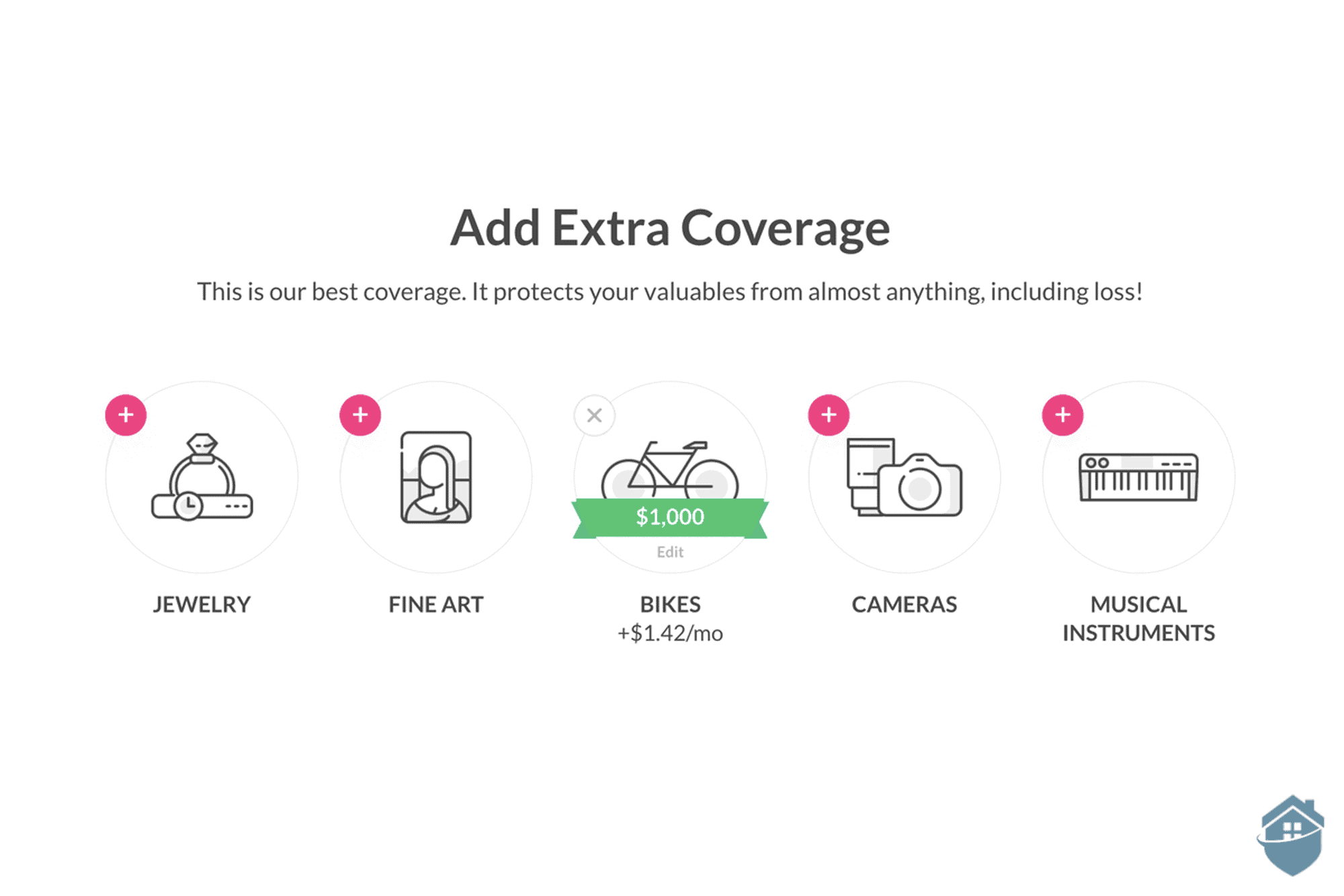 Lemonade Insurance Extra Coverage