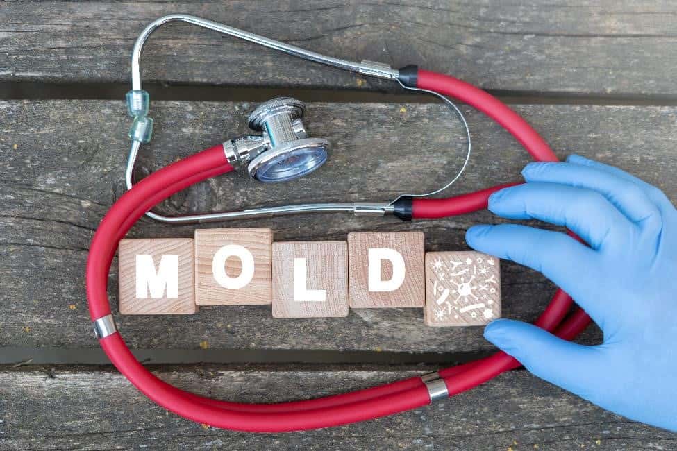 The word mold surrounded by a stethoscope.