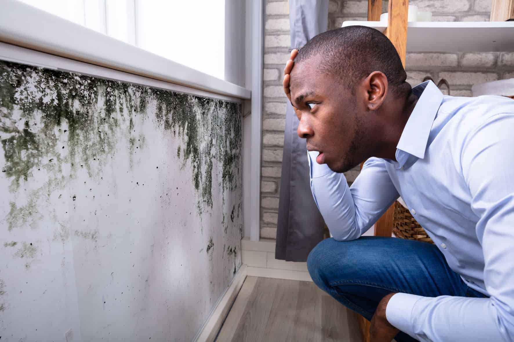 Man looking at moldy wall