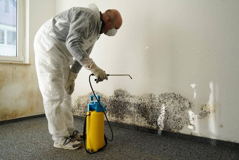 A man spraying disinfectant on a moldy wall.