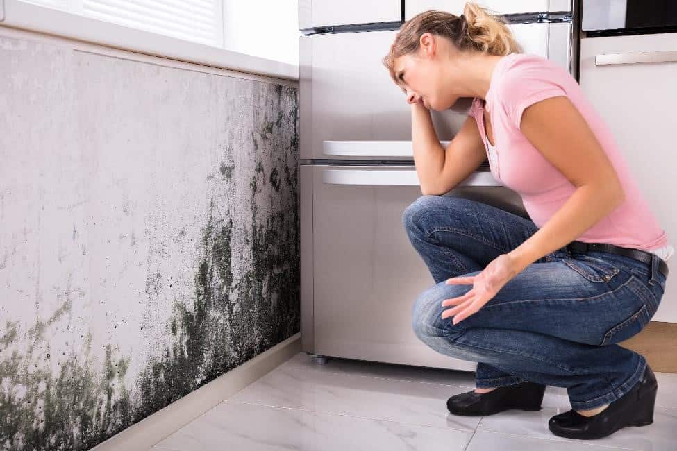 different types of mold
