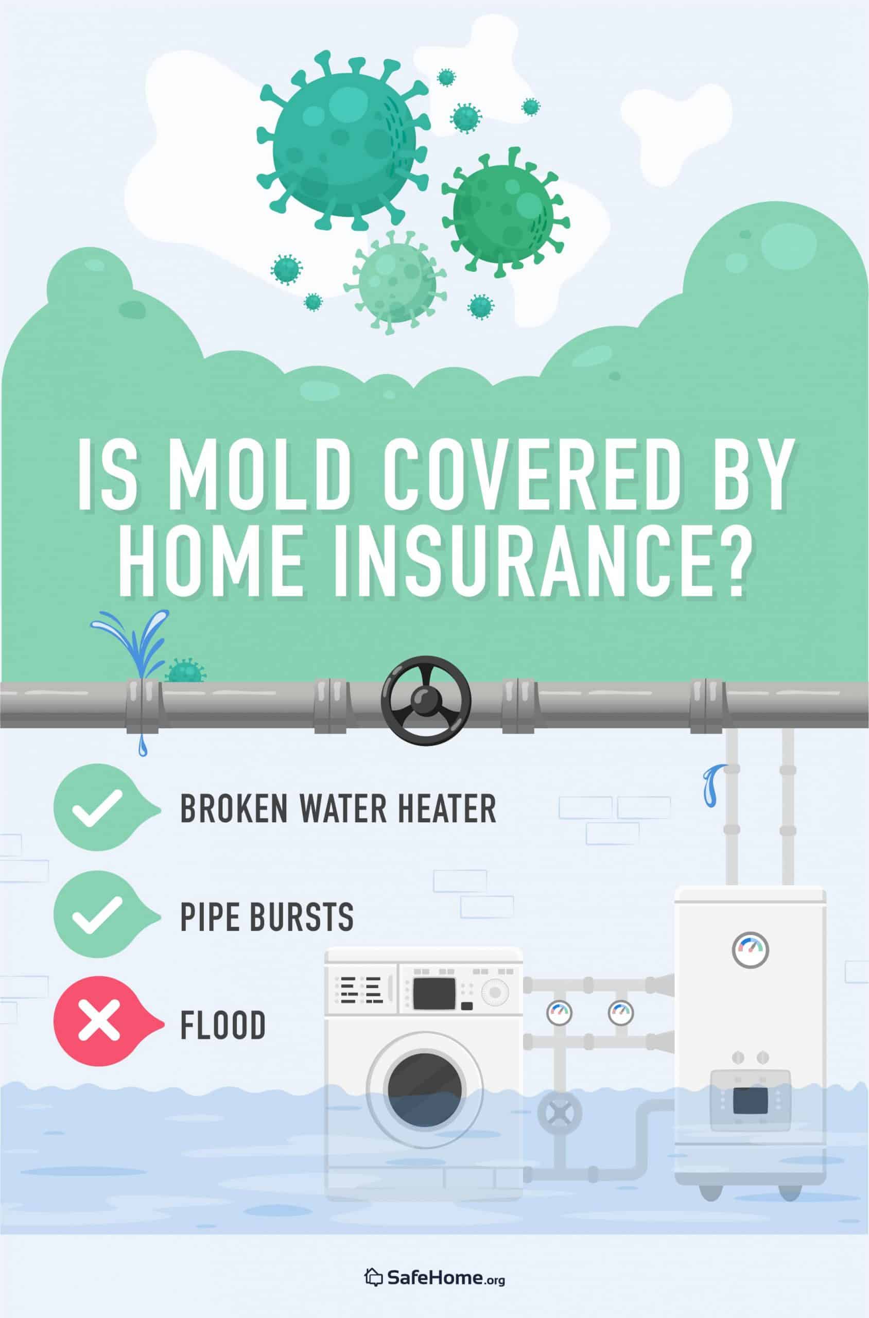 Is mold covered by home insurance?