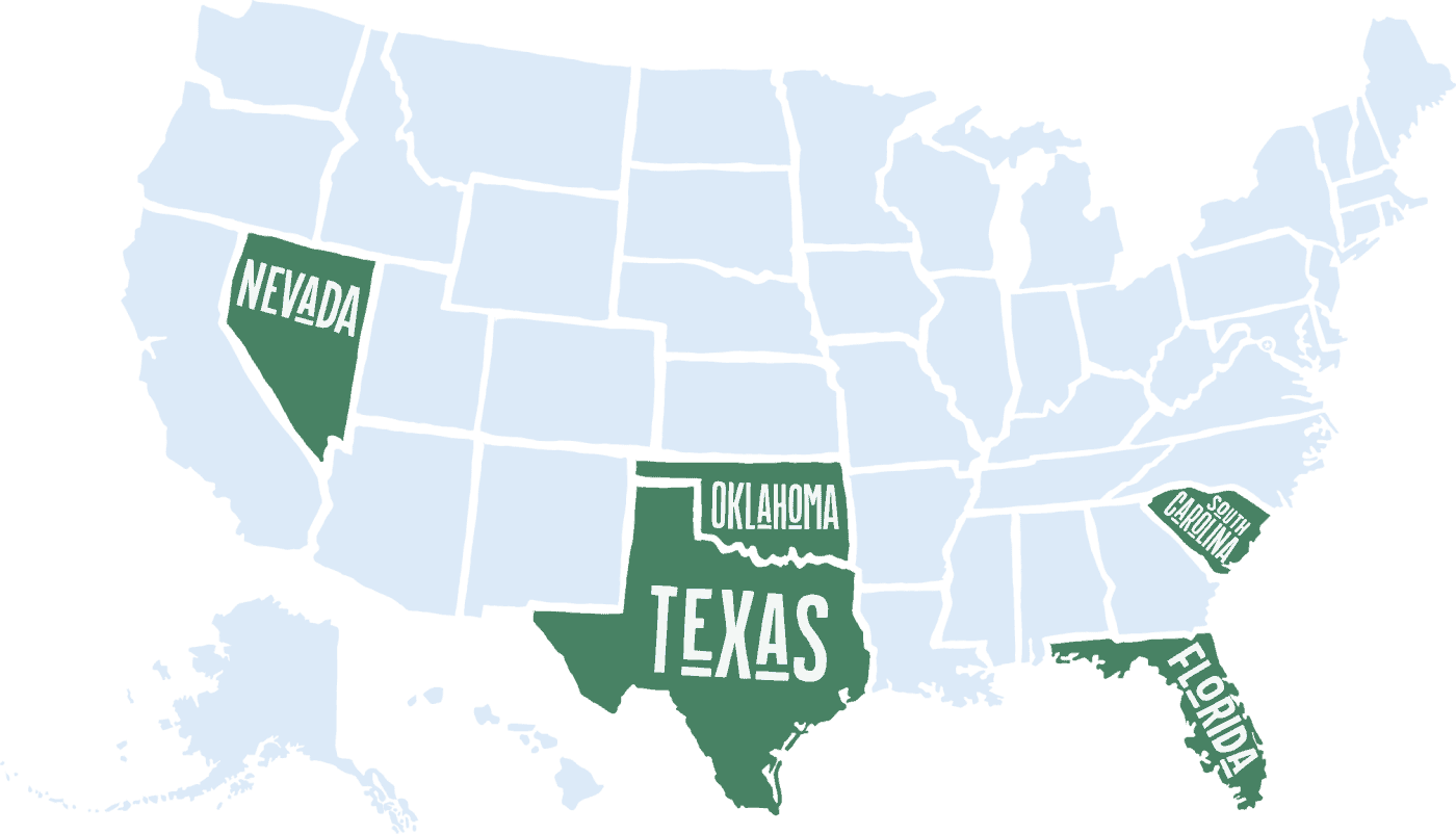 A Homeowners Guide to Mold