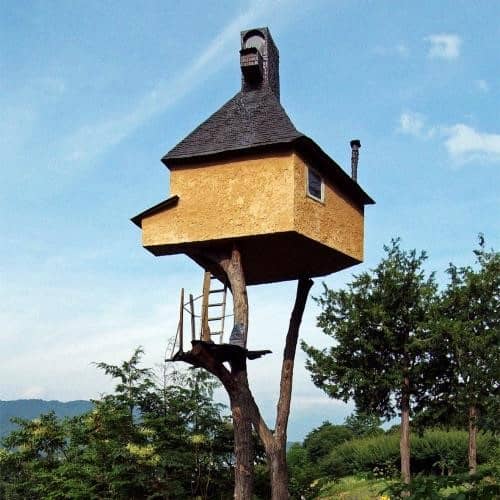 Tree house
