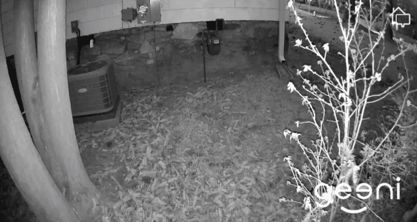 Geeni Security Cameras Review 2026