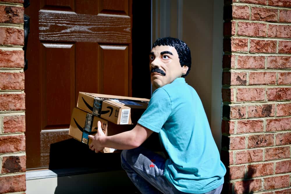 Porch pirate