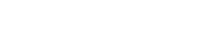 nordvpn logo