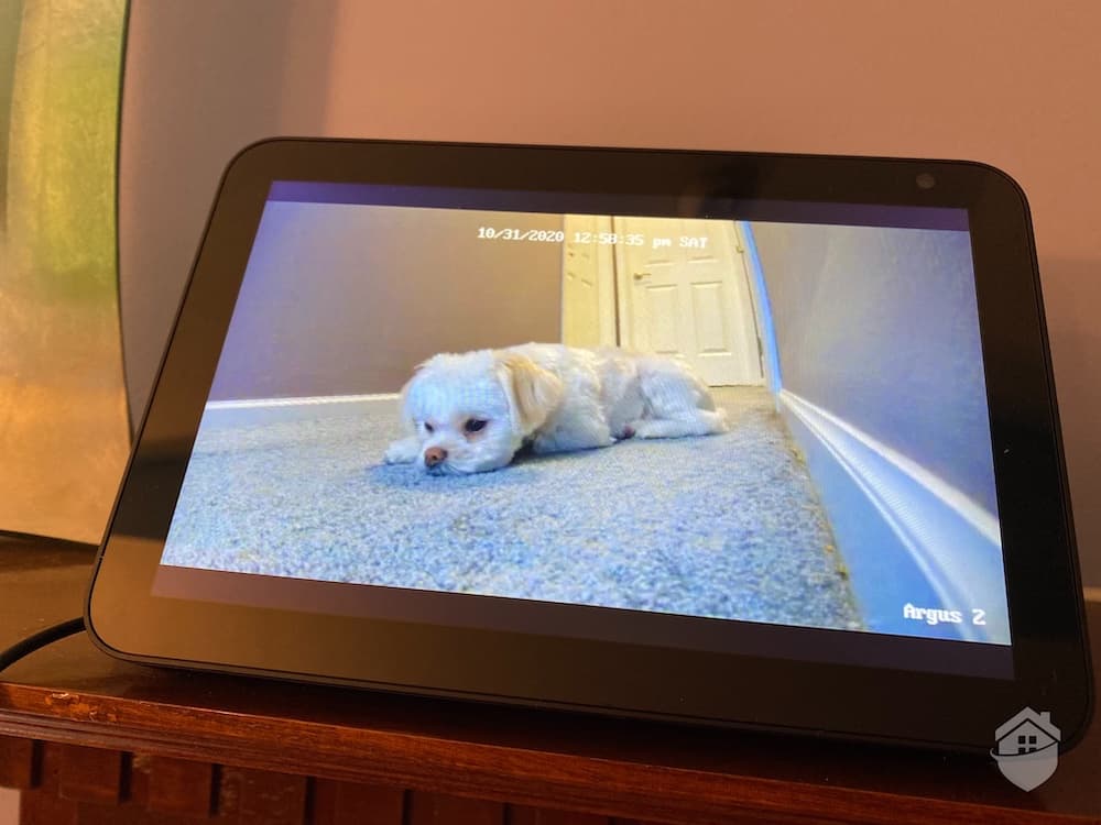 does reolink work with alexa